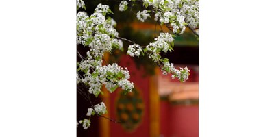 【展會(huì)資訊】臺(tái)群精機(jī)5月展會(huì)一覽，等您來參觀！